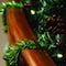Haute Decor GarlandTies 18" Noble Fir Ties, 20ct.